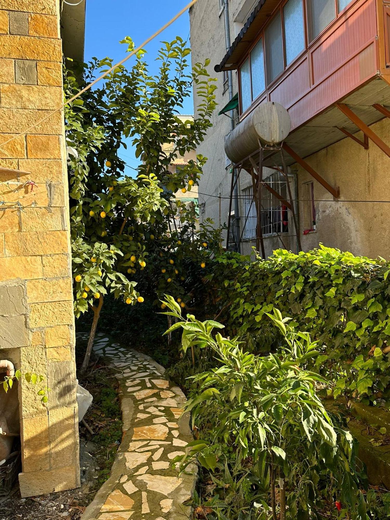 Alimeti Guesthouse Berat Exterior photo
